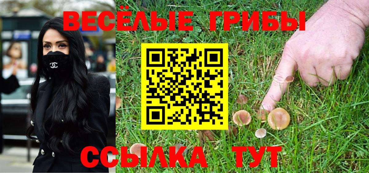 Псилоцибиновые грибы Magic Shrooms  Псилоцибиновые грибы MAGIC MUSHROOMS  Орёл  Вход с VPN 