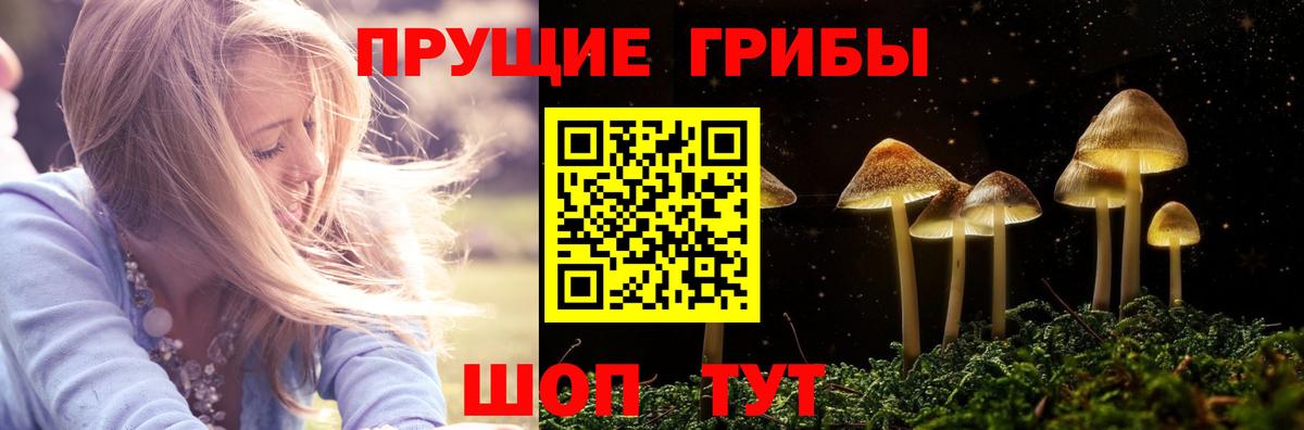 Галлюциногенные грибы мухоморы Орёл